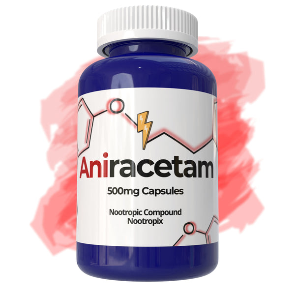 buy aniracetam 500mg capsules nootropic from nootropix shop dubai uae