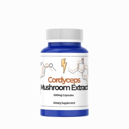 buy cordyceps mushroom extract 500 mg capsules nootropic supplement from nootropix dubai uae product image (3)