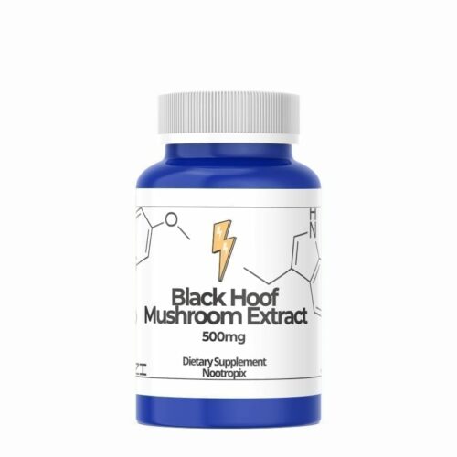Black Hoof Mushroom Extract 500Mg Capsules Nootropics Uae