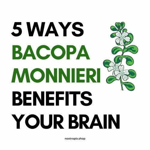 5 Ways Bacopa Monnieri Benefits your Brain Nootropics UAE Blog