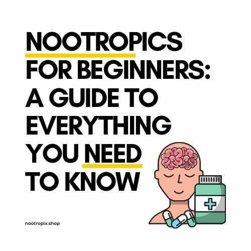 Nootropics For Beginners Guide Nootropix Uae