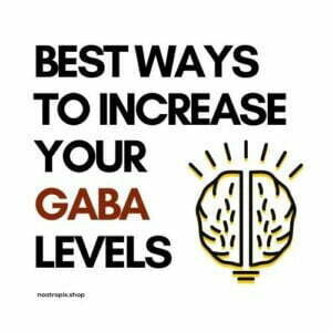 best ways to increase Gaba levels naturally nootropix uae blog