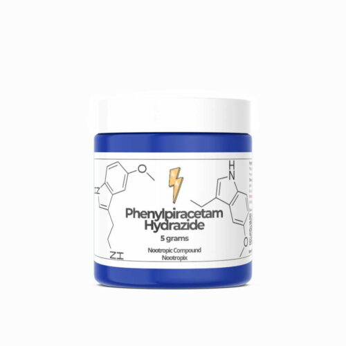 Buy-Phenylpiracetam-Hyrazide-Powder-Nootropics-Dubai-Uae-Nootropix