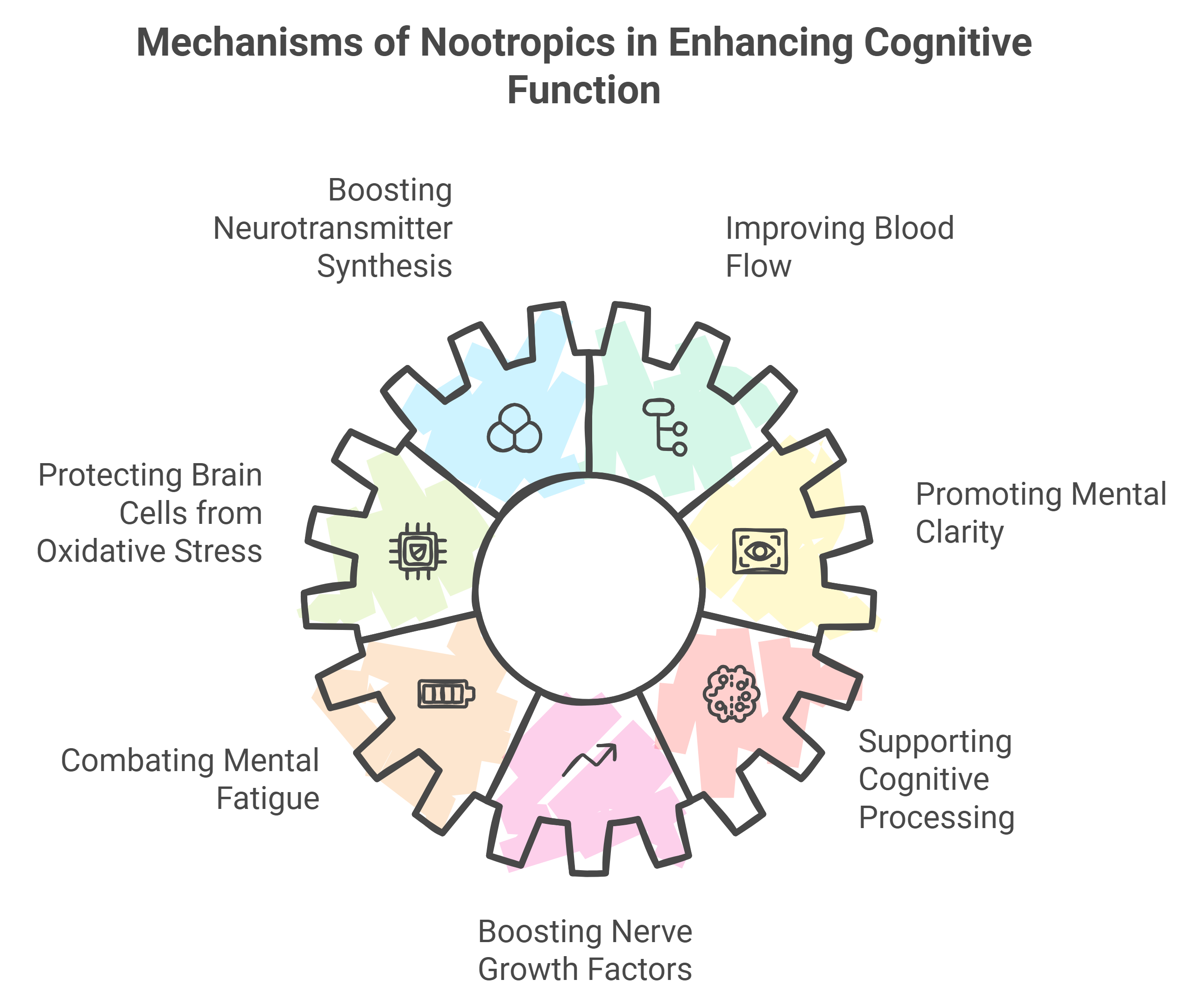 How Nootropics Boost Cognitive Function